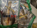 老蟹将 三去宁德大黄花鱼调味黄鱼鲞烧烤烹饪海鲜水产年货送礼 醇香黄花鲞1050g（350g*3条） 实拍图
