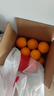 京鲜生 冰糖橙/橙子 5斤装 单果130g-170g 生鲜水果年货礼盒 实拍图