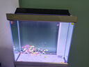 森森（SUNSUN）鱼缸水族箱含鱼缸过滤器灯大型金鱼缸 灰色 时尚款0.8米长34.6cm宽底滤 带棉+滤材 实拍图