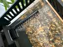 适配小米智能鱼缸滤材升级过滤棉物理生化模块加热仓滤芯改造配件 （雨淋冲刷款）底滤板【瀑布增氧 冲刷底床】 实拍图