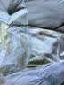 洁丽雅A类7A抗菌纯棉被套100%全棉学生被罩四季通用 梦夏150*200cm 实拍图