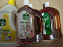 滴露（Dettol）香氛自然衣物消毒液48H留香洗衣除臭儿童可用消毒水杀菌除螨1L*2 实拍图