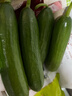 京鲜生 山东荷兰水果黄瓜 净4.5斤 单果70g+ 健康轻食早餐蔬菜 源头直发 实拍图