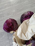 京地达山东新鲜紫甘蓝紫 净重5斤 单颗500g+包菜球起源头直发包邮 实拍图