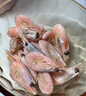 禧美海产 熟冻北极甜虾净重3斤装/盒 150/180规格 冰虾 MSC认证 海鲜水产 实拍图