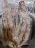 獐子岛 冷冻整只鱿鱼1斤 5-7条 铁板鱿鱼火锅烧烤食材 海鲜软足 实拍图