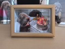 金隆兴相框摆台6寸原木色简约挂墙木质相框装裱结婚宝宝照片墙赠送卡纸 实拍图