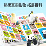 会说话的早教书0-6岁儿童手指点读书有声书儿童玩具学习早教机六一儿童节礼物女孩男孩 实拍图