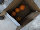 江西赣南脐橙 橙子纽荷尔甜橙水果甜橙子现摘当季正箱新鲜水果 9斤装净重（单果170g起） 实拍图