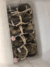 【活蟹】 阳澄易顺大闸蟹 鲜活特大螃蟹公母蟹 水产生鲜年货礼盒 六月黄大闸蟹3.0-3.3两  十只礼盒装 实拍图