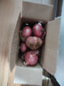 山东特产水果扁洋葱甜瓜口感红皮扁葱头生吃脆甜蘸酱好吃粉嫩 紫皮洋葱大果带箱 5斤 精选 实拍图