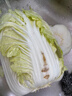 【霜打菜】翡翠褶大白菜1.2kg 实拍图