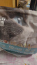 亿迪猫粮全价成猫幼猫冻干全阶段5斤布偶蓝猫英短橘猫通用小包装2.5kg 实拍图