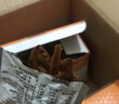 劲仔深海小鱼休闲零食鱼仔海味小吃小鱼干 香辣+麻辣 600g 实拍图