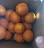 京觅秭归脐橙纽荷尔橙子净重9斤精品果200g+新鲜水果礼盒源头直发包邮 实拍图