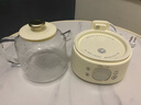 小熊（Bear）全玻璃养生壶 纯玻璃多功能恒温壶 办公室轻音炖煮花茶 1L YSH-J10D1 实拍图
