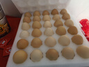 京鲜生富硒鲜鸡蛋30枚 3斤 源头直发 实拍图