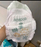 巴布豆（BOBDOG）小波浪薄柔亲肤学步裤XXXL96片箱装(17KG以上）尿不湿 超薄透气 实拍图