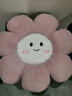 金号毛绒绒花朵坐垫屁垫沙发飘窗卧室地上椅子座垫 粉色 45x45cm 实拍图