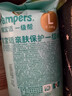 帮宝适散热王者一级帮拉拉裤新生儿婴儿尿不湿尿片超薄透气L33 实拍图