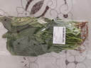 大菠菜300g 实拍图