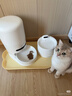 PAPIFEED自动喂食器猫咪小型智能投喂器定时定量喂猫器猫粮狗粮远程喂食机 实拍图