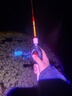 N·S BlackHole NS卡拉慕斯小鱼竿弹射竿路亚竿马口青稍红尾鳟鱼罗非白条 1.86米 C-622L（枪柄竿） 实拍图