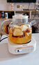 LOTOR徕多养生壶迷你煮茶器烧水花茶恒温一体电热水壶办公室全玻璃炖煮茶炉煎中药小型养生杯一人 【升级滤桶】全玻璃壶身 1L 实拍图