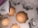 天珍牧场NSF无抗生素谷物鲜鸡蛋30枚3斤安全无激素节日礼盒 早餐食材 实拍图
