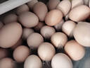 京鲜生 无抗保洁鲜鸡蛋30枚/盒 健康轻食 礼盒送礼 1.5kg/盒 源头直发 实拍图