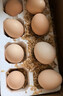 土鸡蛋农家散养新鲜柴鸡蛋孕妇笨鸡蛋40-50g正宗草鸡蛋谷物蛋整箱 10枚50+ 实拍图