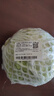 绿甘蓝约1kg 实拍图