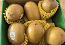 佳沛（zespri）新西兰 阳光金奇异果12粒礼盒特大果单果约122-146g 猕猴桃 水果 实拍图
