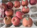 洛川苹果陕西延安特产红富士时令苹果水果礼盒送苹果生鲜新鲜脆甜整箱批发 【新品】秦脆20个80mm甄选礼盒装 实拍图