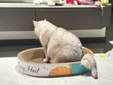 疯狂的主人猫抓板窝巨无霸猫玩具猫爪板猫抓盆不掉屑猫窝碗形圆形瓦楞纸 实拍图