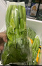 京鲜生云南高原水果西芹 净重4斤装 新鲜采摘 源头直发  实拍图