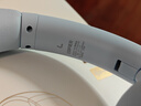 漫步者（EDIFIER）W800BT Free降噪版 头戴式主动降噪蓝牙耳机 蓝牙5.4 游戏适用 适用苹果华为小米 雾蓝 新年礼物 实拍图