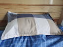 枕头芯一对带枕套套装宿舍枕芯一只单人成人护颈家用租房学生枕头 大格 一个枕芯+一个枕套 实拍图