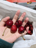 京鲜生 智利进口车厘子J级900g礼盒装 果径约26-28mm 生鲜水果礼盒 实拍图