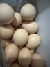 秋浦河散养土鸡蛋30枚 净重2.4斤 山林散养草鸡蛋 柴鸡蛋 源头直发 包邮 实拍图