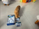 LEGENDSANDY蓝氏猫粮生鲜猎鸟鲜乳鸽生骨肉冻干高蛋白全价成猫粮幼猫通用型 试吃尝鲜装丨荒野猎兔丨50g 实拍图