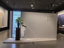罗格朗（LEGRAND）开关插座面板 逸景系列深砂银灰色插座开关墙壁插座 壁脚指示灯 实拍图