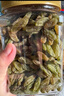 鲜记 绿香妃葡萄干500g 新疆吐鲁番特产大颗粒 蜜饯果干 休闲零食 实拍图