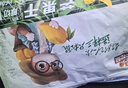 三只松鼠芒果干500g/袋 休闲零食水果干蜜饯果脯娱乐办公室小吃量贩装 实拍图