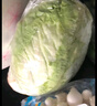 京鲜生云南新鲜球生菜 600g 简装 新鲜蔬菜  实拍图