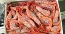 鲜京采 进口格陵兰北极甜虾 净重2斤 90-150只 生甜虾 圣诞聚餐 实拍图