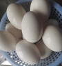 百世富泽（BAISHIFUZE）【百世富泽】黄河滩大鹅蛋新鲜正宗土鹅蛋农家自养孕妇超大鹅蛋 12枚115-130克 实拍图