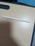 京东京造iPad apple pencil二代苹果笔电容笔磁吸充电式 平板手写Pro11/12.9触控笔2022/21Air5/4绘画专用 实拍图