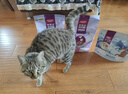 麦富迪猫粮 超肉粒冻干双拼成猫粮美毛护肠三文鱼10kg/20斤【宠物金选】 实拍图
