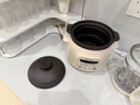 苏泊尔（SUPOR）电炖锅 电炖盅 电砂锅 煲汤锅炖汤锅 燕窝炖盅 煮粥锅 电煮锅 婴儿辅食锅 紫陶 DG30YC816多功能锅 实拍图